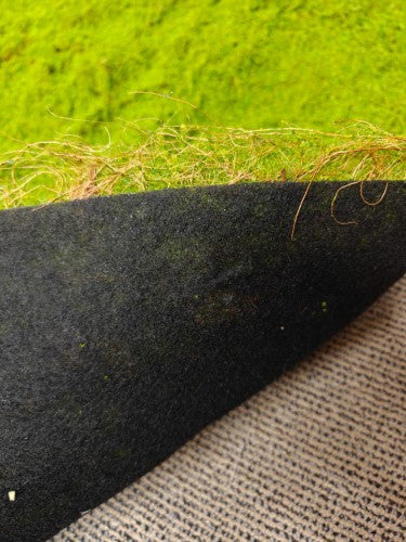 Artificial Moss Mat - 200 x 100cm (Green)