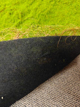 Artificial Moss Mat - 200 x 100cm (Green)