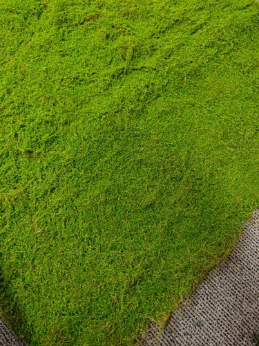 Artificial Moss Mat - 200 x 100cm (Green)