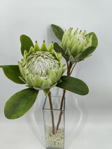 Artificial Large King Protea (Green)