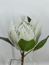 Artificial Large King Protea (White)
