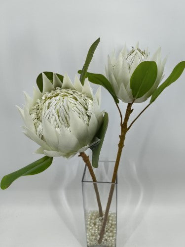 Artificial Large King Protea (White)