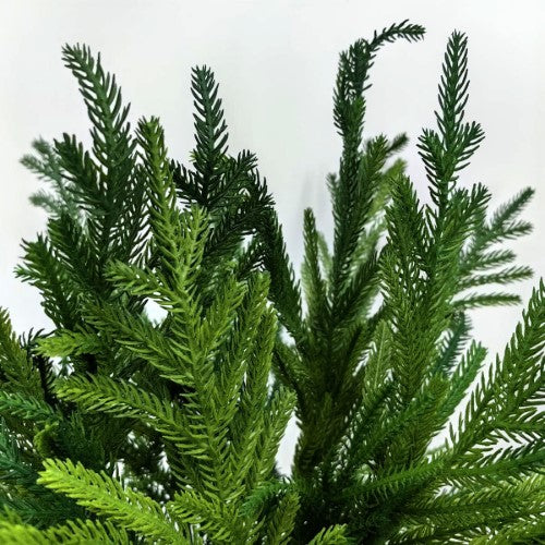 Artificial Norfork Pine Spray - 30cm (Green)