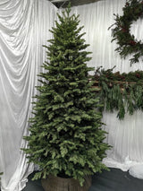 Real Touch Mixed Juniper Pine Christmas Tree with 1500 LED Lights & 3913 Tips - 7.5'