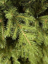 Real Touch Mixed Juniper Pine Christmas Tree with 1500 LED Lights & 3913 Tips - 7.5'