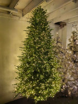 Mixed Green PE & PVC Pine Christmas Tree with 3000 LED Lights - 9'