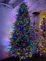Mixed Green PE & PVC Pine Christmas Tree with 3000 LED Lights - 9'