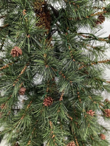 Needle Pine Christmas Tree with Cones & 200 LED Lights - 6'