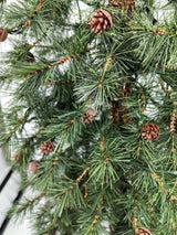 Needle Pine Chriastmas Tree  with cones & 160 Multi Function LED Lights & 316 Tips - 5'