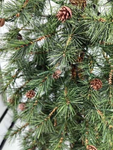 Needle Pine Christmas Tree with Cones & 200 LED Lights - 6'