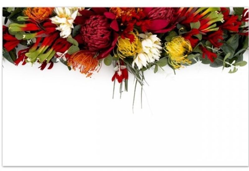 Florist Cards - Australian Native Flowers (Pack of 50)
