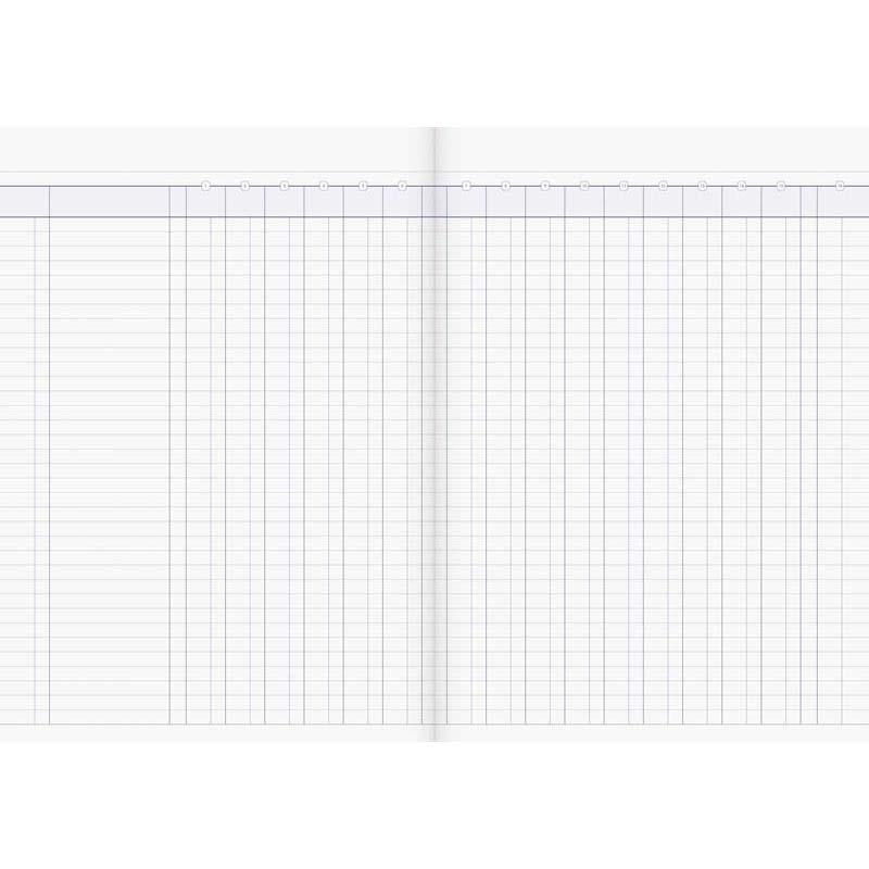 Milford A4 16 Money Column 26 Leaf Limp Analysis Book