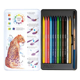 Set of 13 vibrant water-soluble wood-free colored pencils for versatile artistic creations and comfortable use.