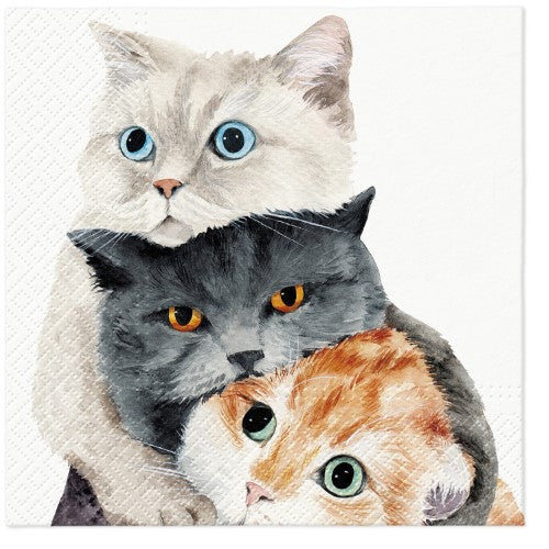 Lunch Napkin - Paw Décor Better Together (33cm)