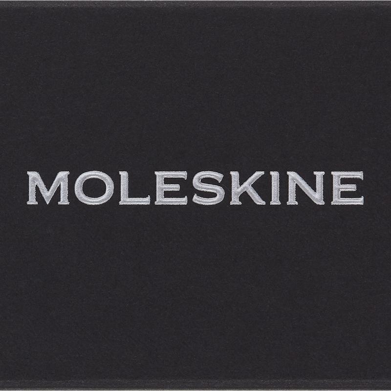 Moleskine Pins B Silver