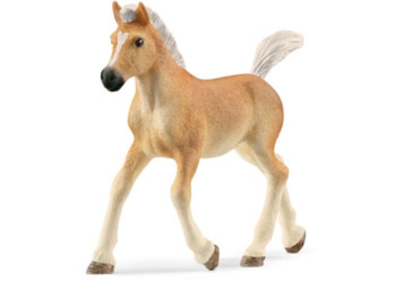 Schleich - Haflinger Foal