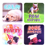 Coasters Set - Dog (6 Sets)