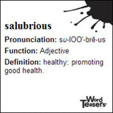Word Teasers SAT Vocabulary