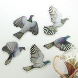 Printed ACM Birds Set : Kereru