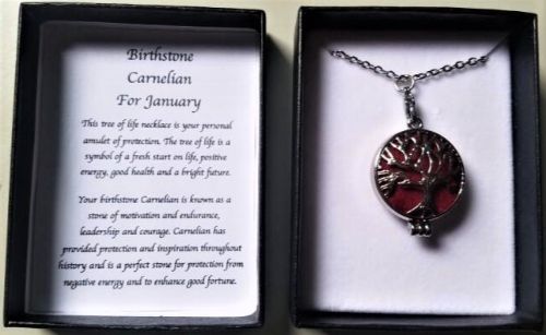 Birthstone Necklace - Carnelian Jan (70cm)