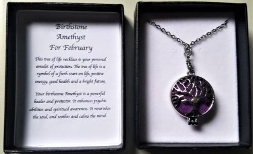 Birthstone Necklace - Amethyst Feb (70cm)