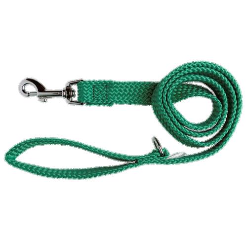 Double Nylon Webbing Dog Lead – Beau Pets 20mm x 90cm Green