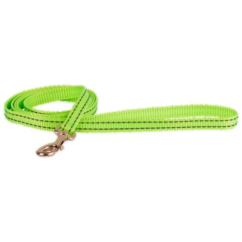 Adjustable Reflective Nylon Puppy Lead – Beau Pets 120cm Green