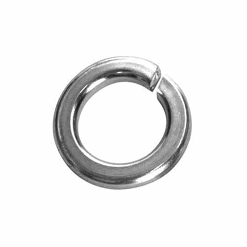Champion Spring Washers 5mm Stainless Steel 316 Pack of 35
