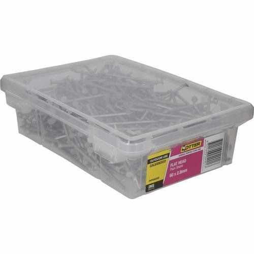 Otter Flat Head Nails 60 X 2.8mm 2kg Galvanised