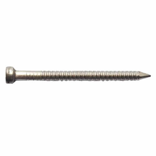 Ecko Jolt Head Nails 50 X 2.8mm 500g 316 Stainless Steel