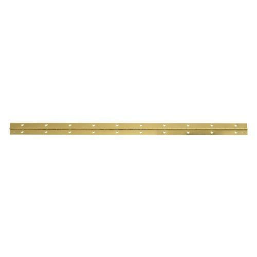 Trio Continuous Hinge 31mm X 600mm Gold Pack of 1