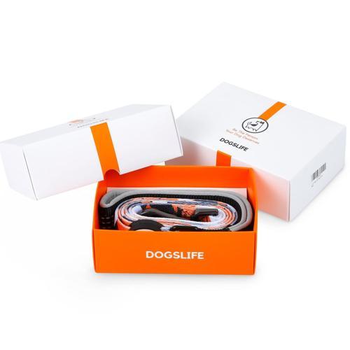 DOGSLIFE Dog Collar & Leash Small Orange/Black/White