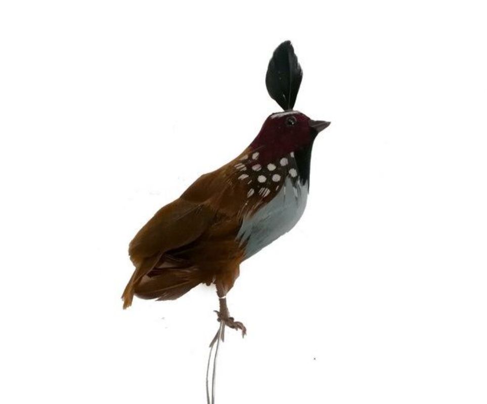 Ornament - California Quail (3?‹??")