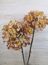 Artificial Hydrangea Stem - Dry Look (Orange)