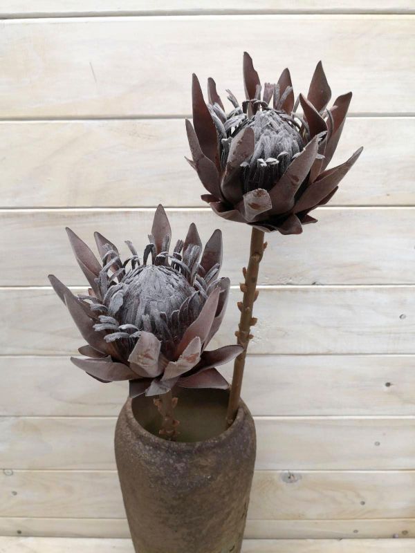 Artificial King protea - Dry look Small (Coffee)