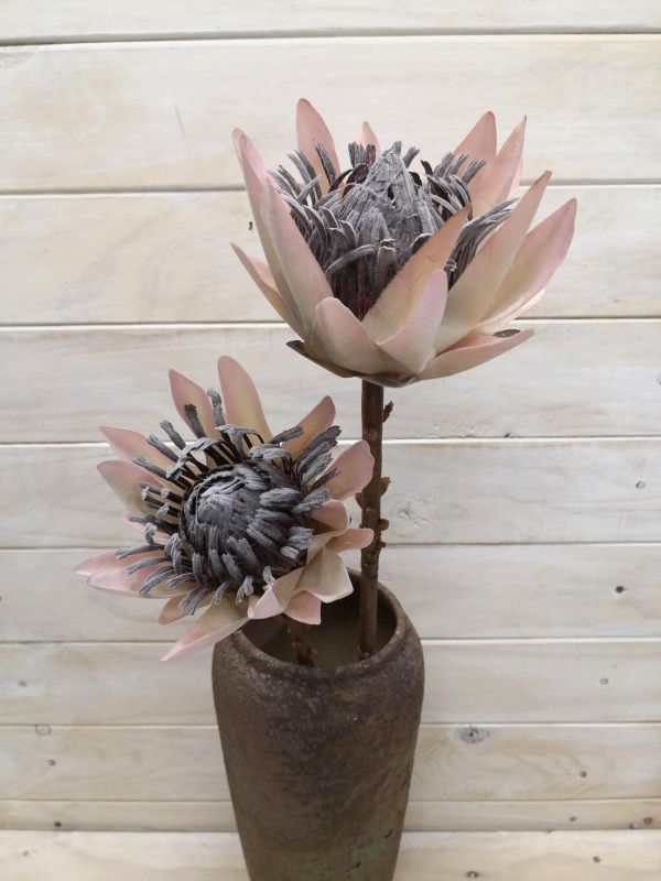 Artificial King protea - Dry look Small (Pink)