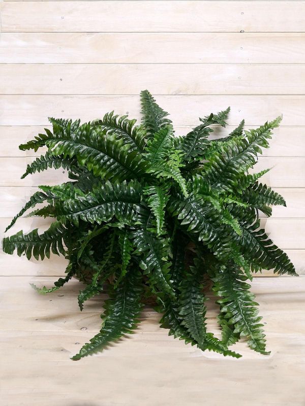 Artificial Boston Fern Hanging Basket