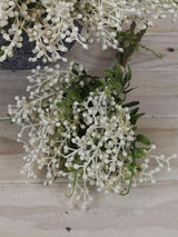 Artificial Seed Bundle x 4 (Cream)