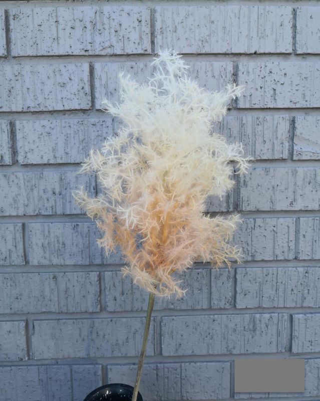 Artificial Moss Spray (Peach)