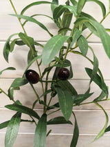 Artificial Olice Spray w/Olives