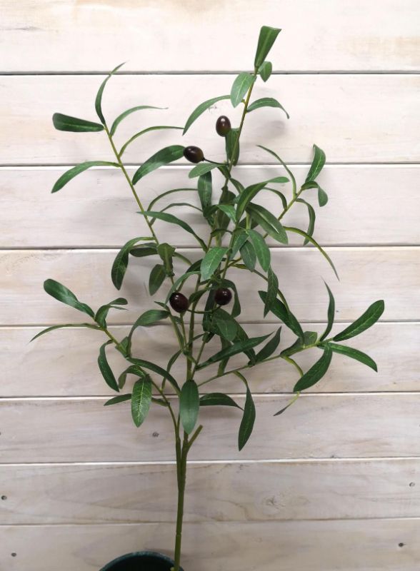 Artificial Olice Spray w/Olives