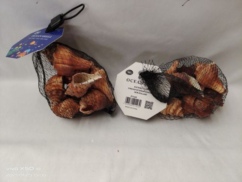 Ocean Shell 6 - 100g (12 Packs)