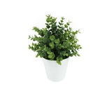 Botanicals Collection Artificial Eucalyptus Plant In Pot 11cm
