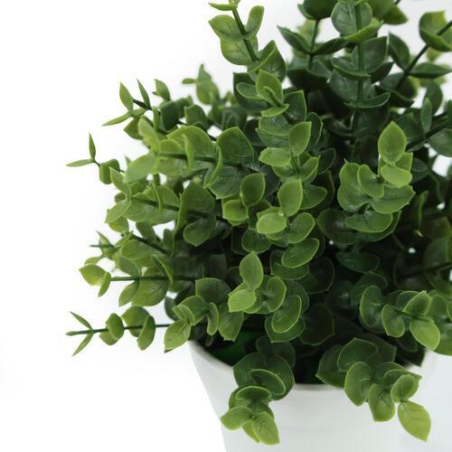 Botanicals Collection Artificial Eucalyptus Plant In Pot 11cm