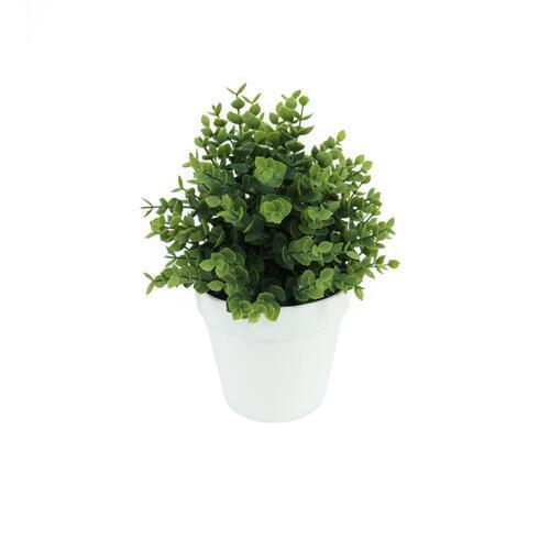 Botanicals Collection Artificial Eucalyptus Plant In Pot 12.5cm