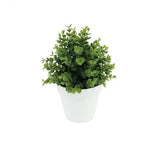 Botanicals Collection Artificial Eucalyptus Plant In Pot 12.5cm