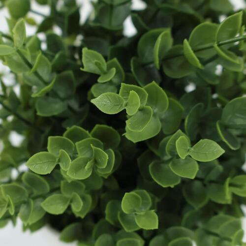 Botanicals Collection Artificial Eucalyptus Plant In Pot 12.5cm