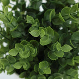 Botanicals Collection Artificial Eucalyptus Plant In Pot 12.5cm