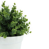 Botanicals Collection Artificial Eucalyptus Plant In Pot 12.5cm