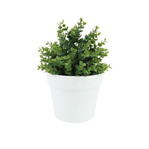 Botanicals Collection Artificial Eucalyptus Plant In Pot 16cm